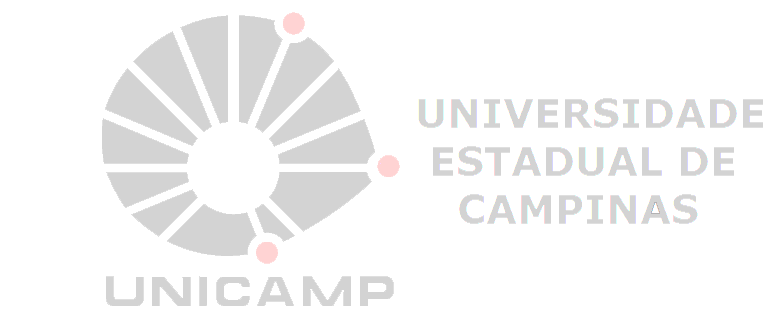 UNICAMP